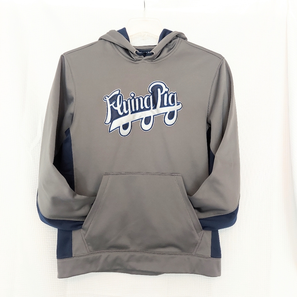Flying Pig Hoodie Sweatshirt Gray Blue Embroidered